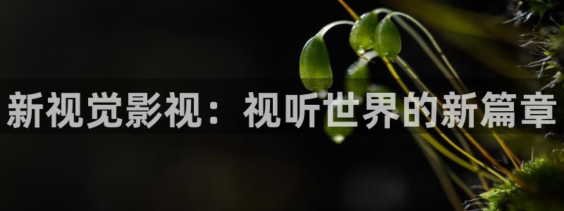 私人影院有啥用