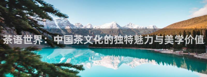 私人别墅影院大全：茶语世界：中国茶文化的独特魅力与美学价值